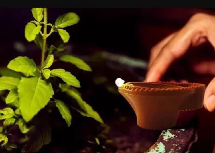 LED Light Water Sensor Diyas Plastic with, Ambient Lights, (Pack of 6/12/18/24)